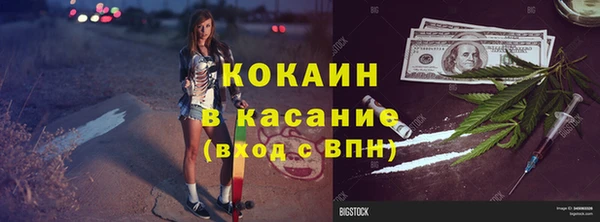 твердый Бородино