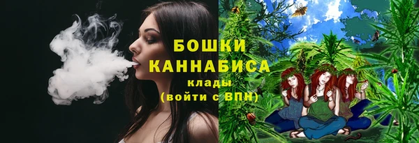 бошки Бронницы