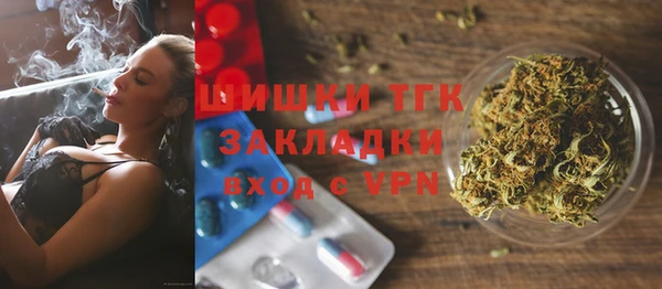 бошки Бронницы